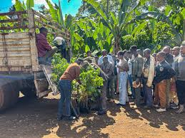 Women Coffee Entrepreneur