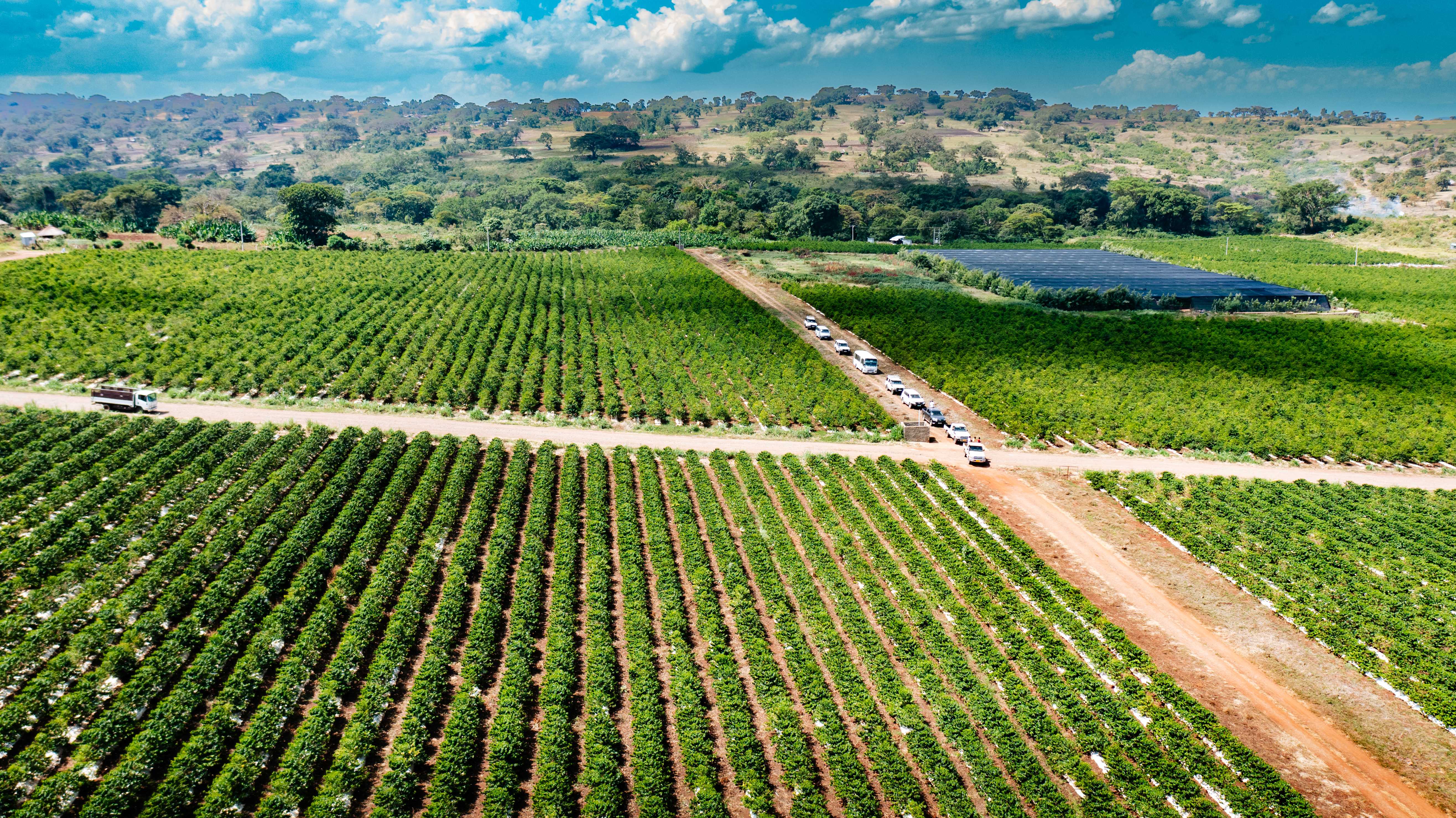 Environmental Sustainability